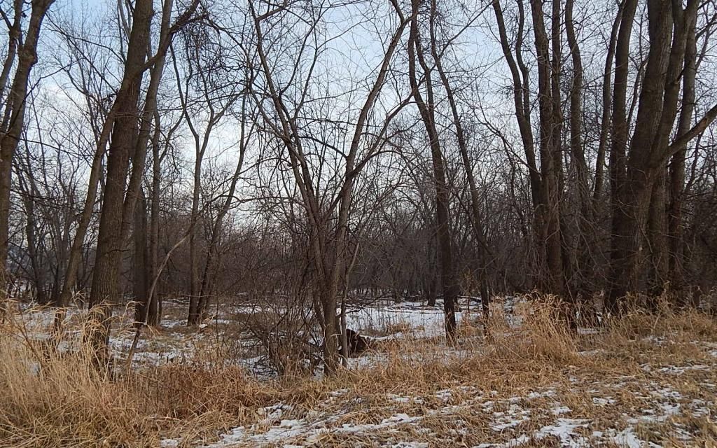 9 acres, Rushford, MN, Property ID 8893569 Land and Farm