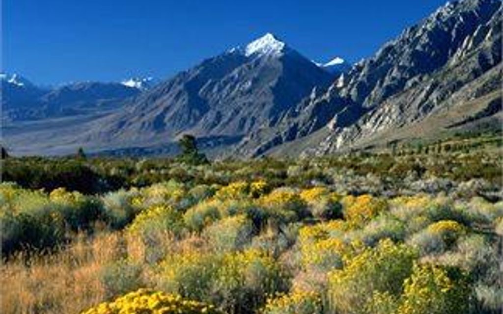 640 acres, Winnemucca, NV, Property ID 8897026 Land and Farm