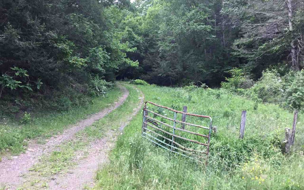 100 acres, Circleville, WV, Property ID 8969466 Land and Farm