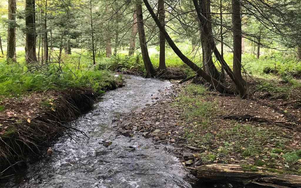 24.76 acres, Sweet Valley, PA, Property ID 8981761 Land and Farm