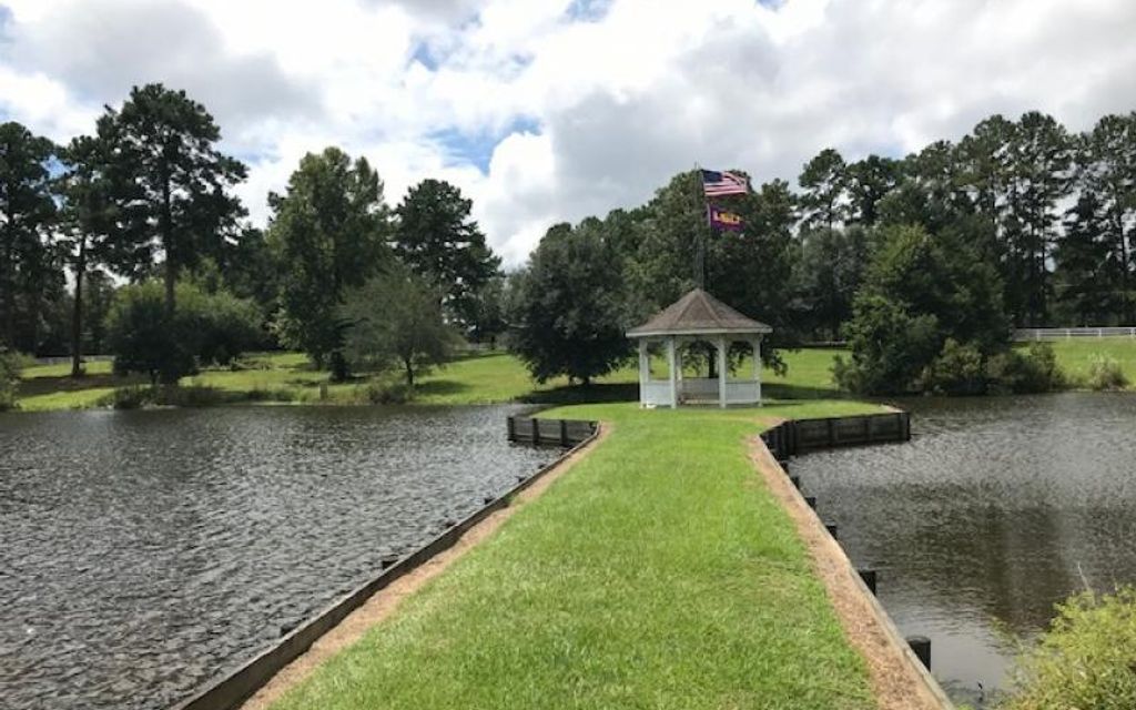 357 acres, Monticello, MS, Property ID 8468491 Land and Farm