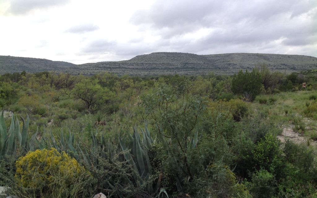 185 acres, Pandale, TX, Property ID 8988412 Land and Farm