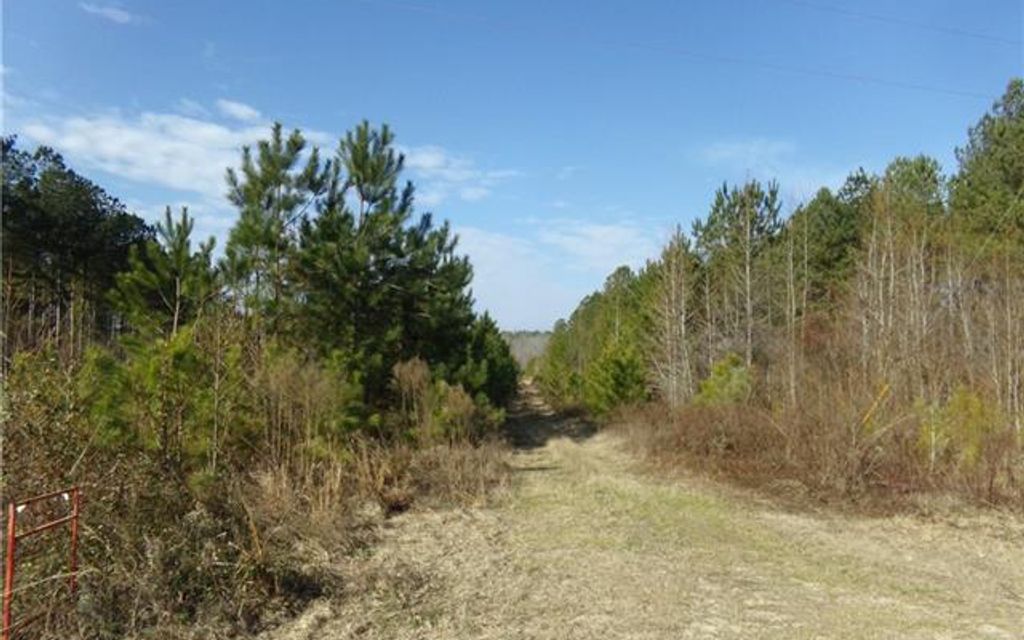 14.58 acres, Chesterfield, SC, Property ID 8991547 Land and Farm