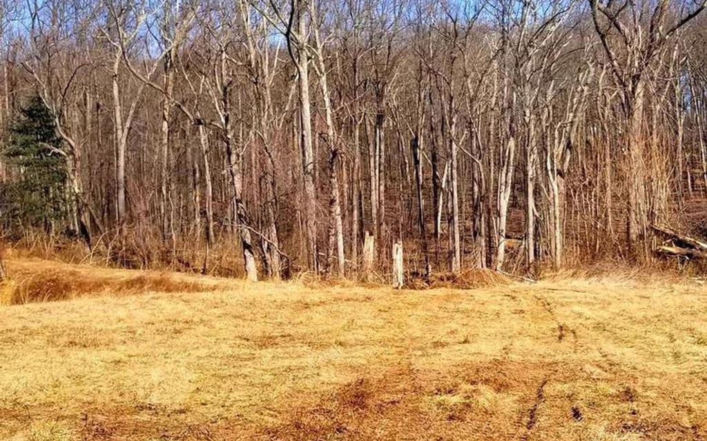 10 acres, Woodbine, MD, Property ID 9029176 Land and Farm
