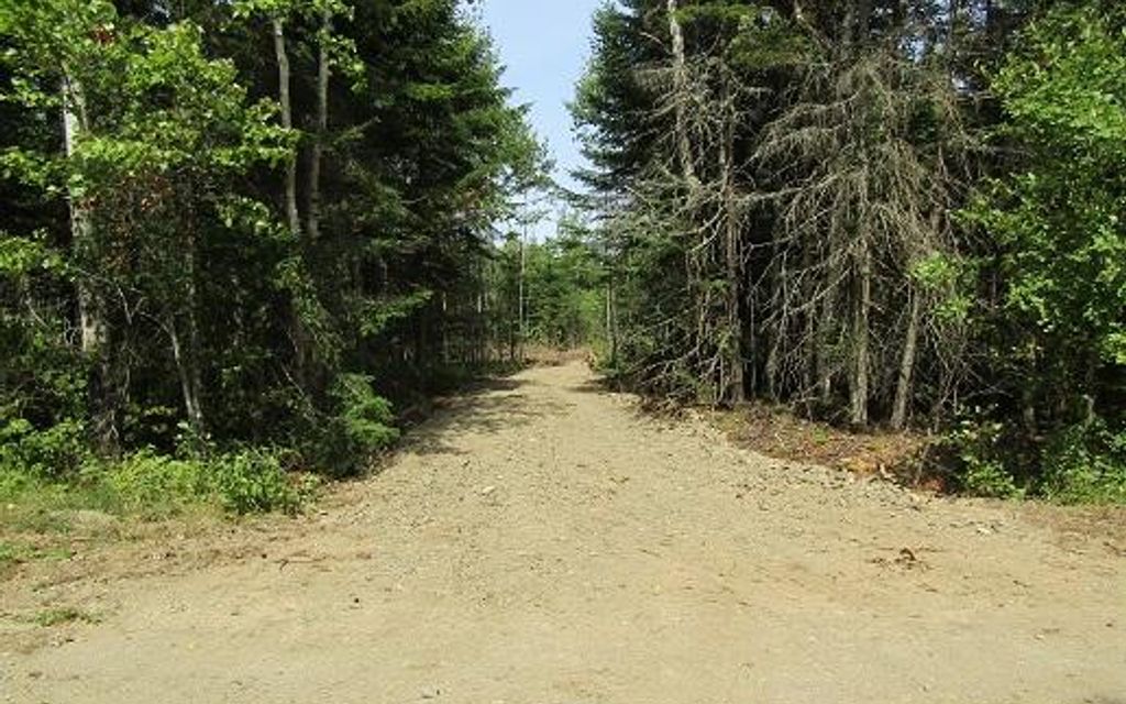55 acres, Perham, ME, Property ID 9031723 Land and Farm