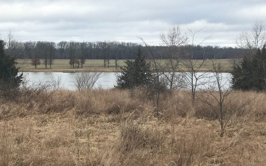 1.12 acres, Carrier Mills, IL, Property ID 9075012 Land and Farm