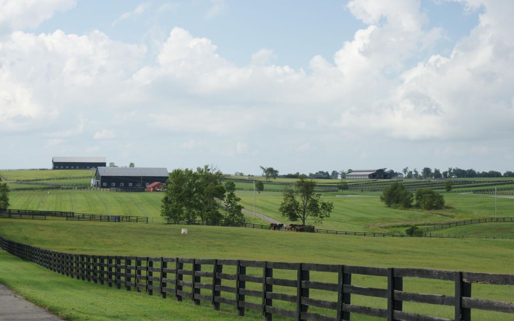 900 acres, Paris, KY, Property ID 9112360 Land and Farm