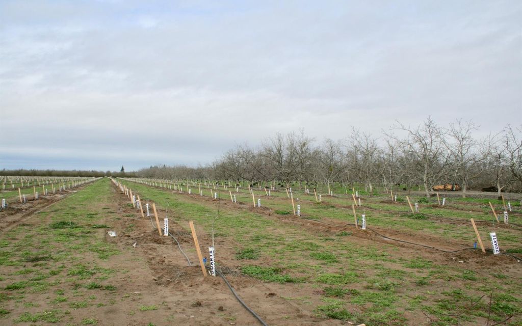 36.1 acres, Modesto, CA, Property ID 9120296 Land and Farm