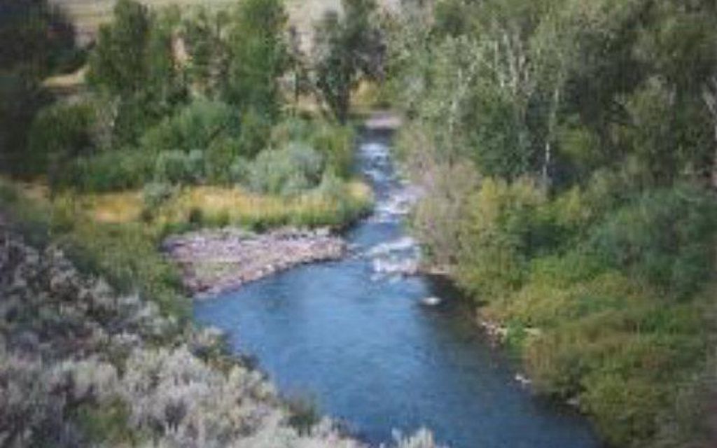 11 acres, Leslie, ID, Property ID 9132567 Land and Farm