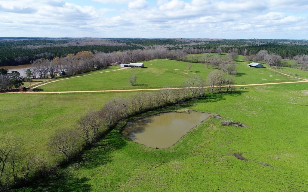 173 acres, Fort Deposit, AL, Property ID 9159933 Land and Farm