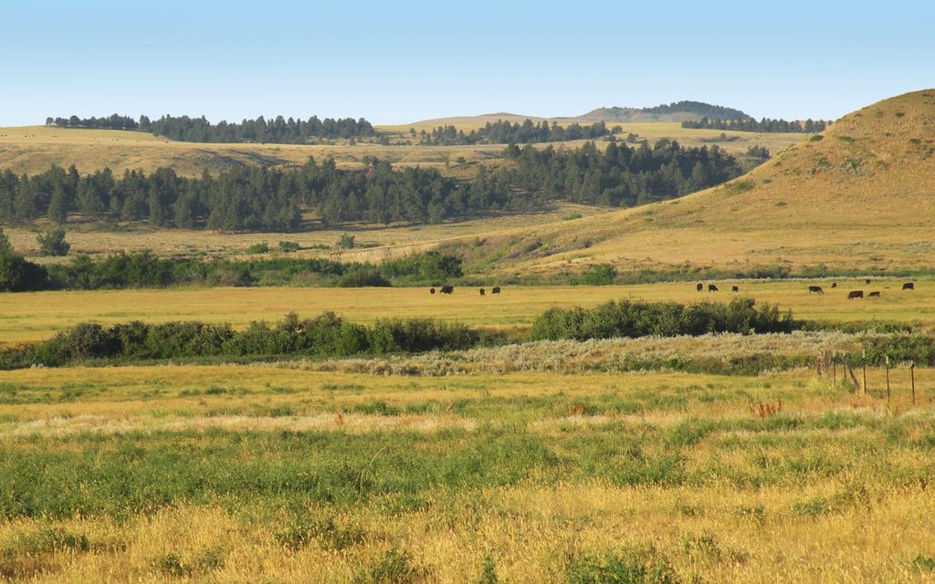 4450 acres, Grass Range, MT, Property ID 9217000 Land and Farm