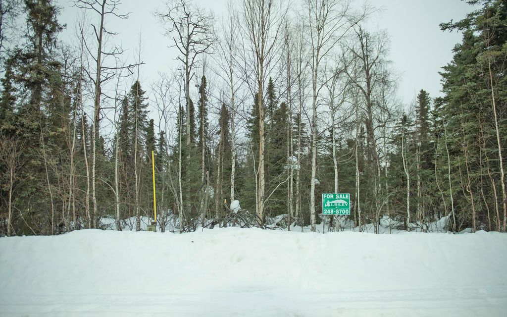 0.92 acres, Willow, AK, Property ID 9228148 Land and Farm