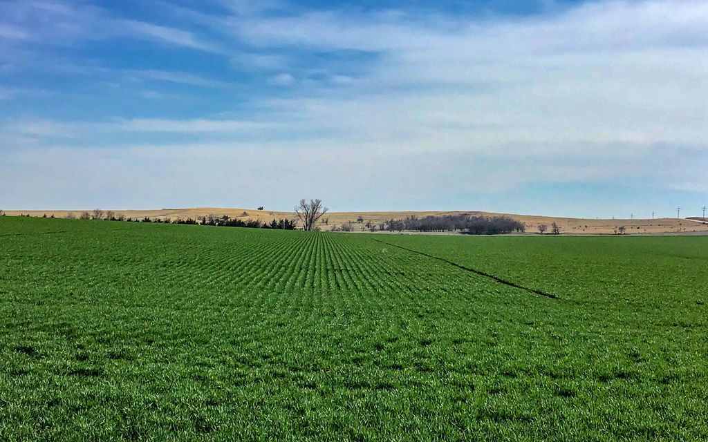 160 acres, Plainville, KS, Property ID 9229568 Land and Farm