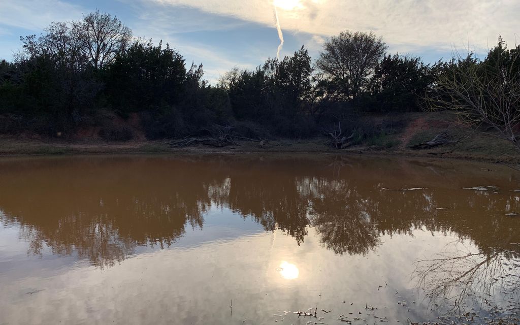 21.25 acres, Eula, TX, Property ID 8042762 Land and Farm