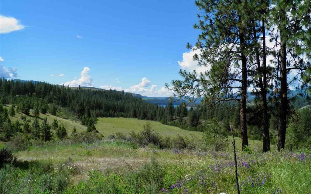 5 acres, Hunters, WA, Property ID 9245212 Land and Farm