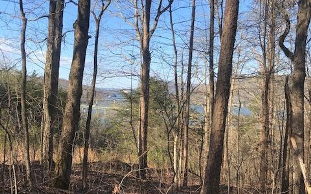 8 acres, Haletown, TN, Property ID 9253096 Land and Farm