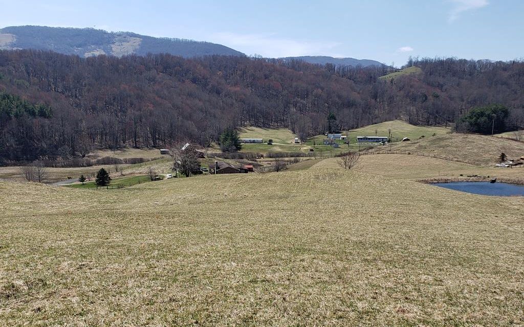 11 acres, Independence, VA, Property ID 9269238 Land and Farm