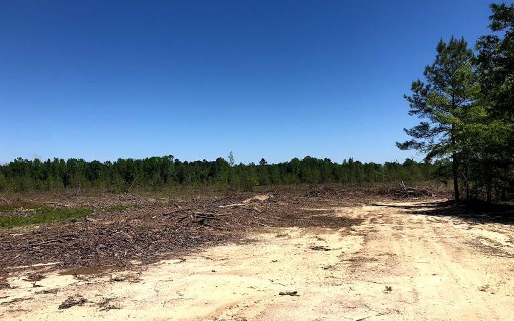 113.6 acres, Wrightsville, GA, Property ID 9278136 Land and Farm