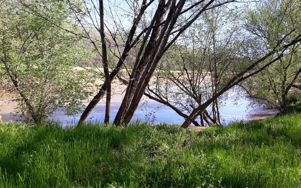 234 acres, Canmer, KY, Property ID 9310855 Land and Farm