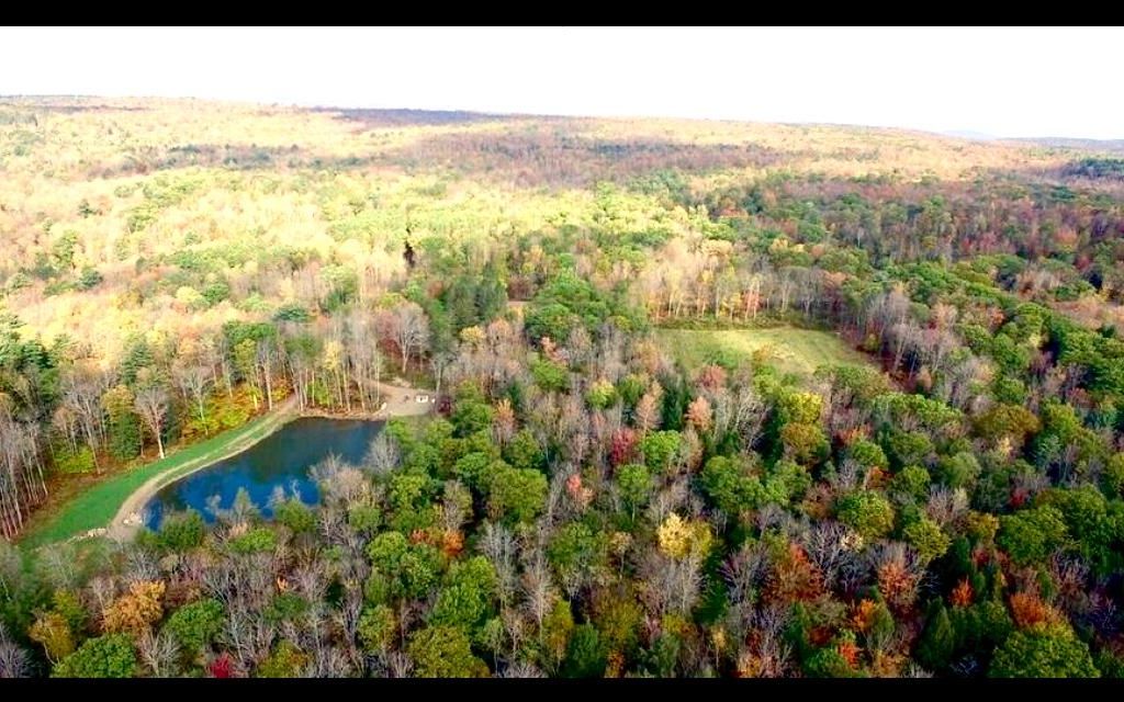 173 acres, Davenport, NY, Property ID 9324883 Land and Farm