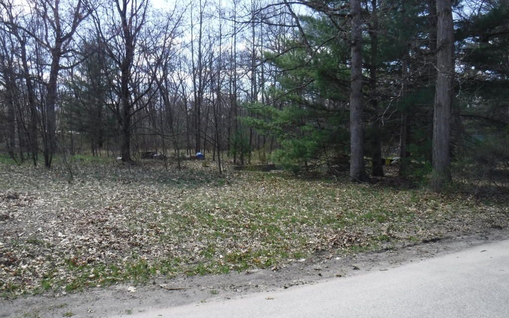 3 acres, Baldwin, MI, Property ID 7574037 Land and Farm