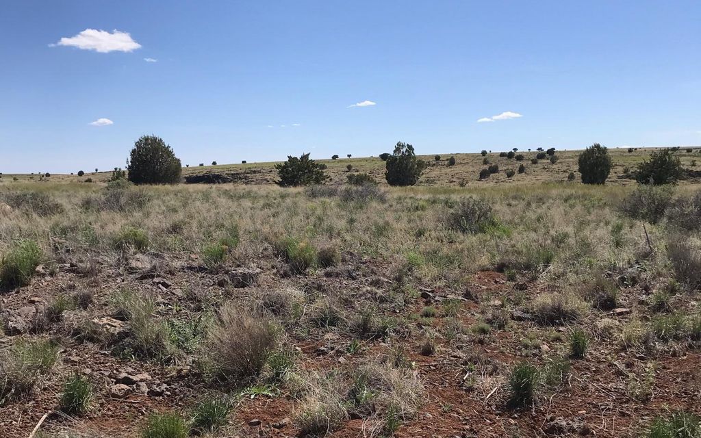 40.08 acres, Ash Fork, AZ, Property ID 9342071 Land and Farm