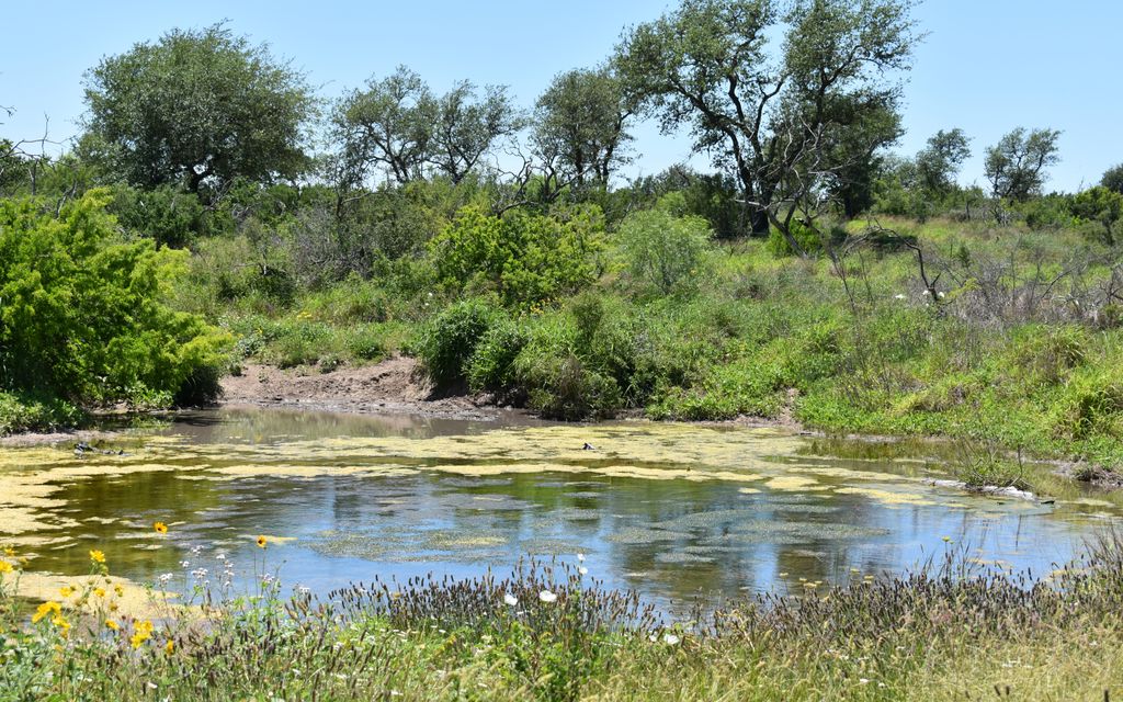 345 acres, Falfurrias, TX, Property ID 9348122 Land and Farm