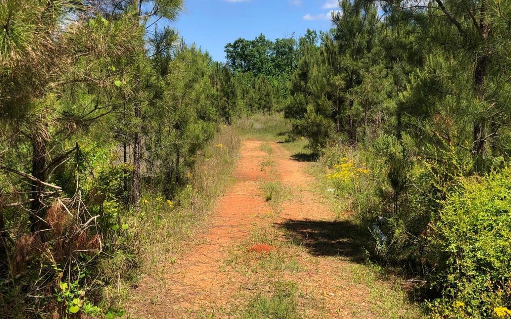 40 acres, Greenville, AL, Property ID 9358983 Land and Farm