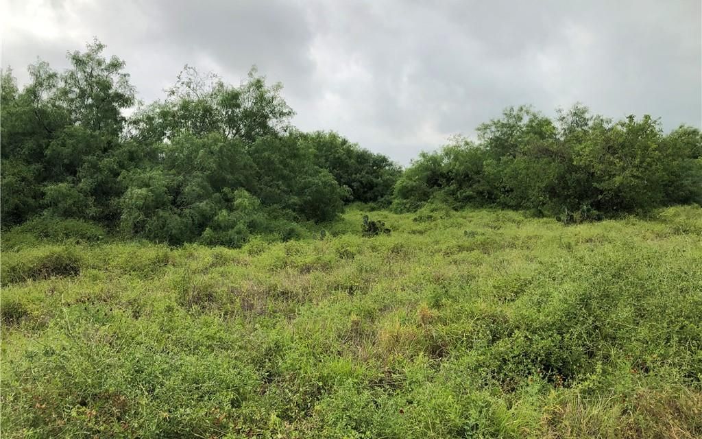 10 acres, Mission, TX, Property ID 9384895 Land and Farm