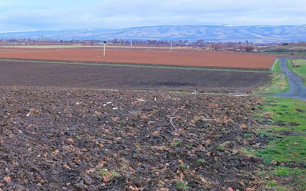 37 acres, Milton Freewater, OR, Property ID 8303417 Land and Farm