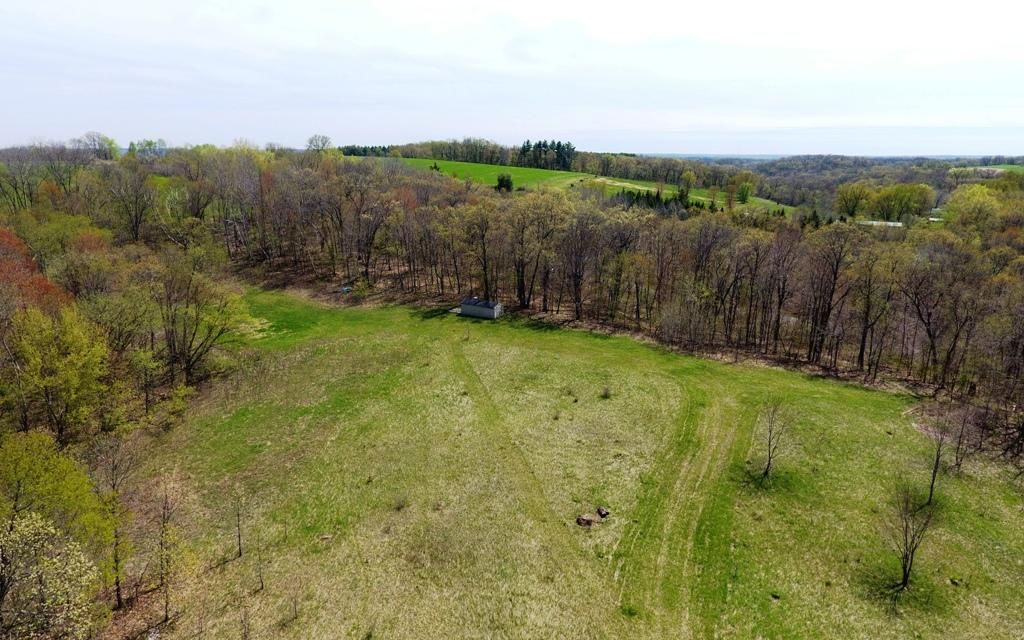 40 acres, Avoca, WI, Property ID 8957040 Land and Farm
