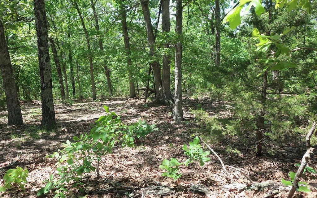 22.9 acres, Richwoods, MO, Property ID 9457885 Land and Farm