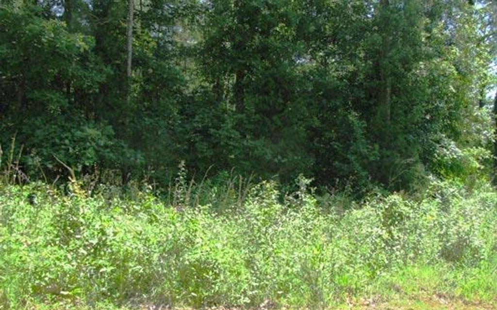 0.55 acres, GA, Property ID 9480756 Land and Farm