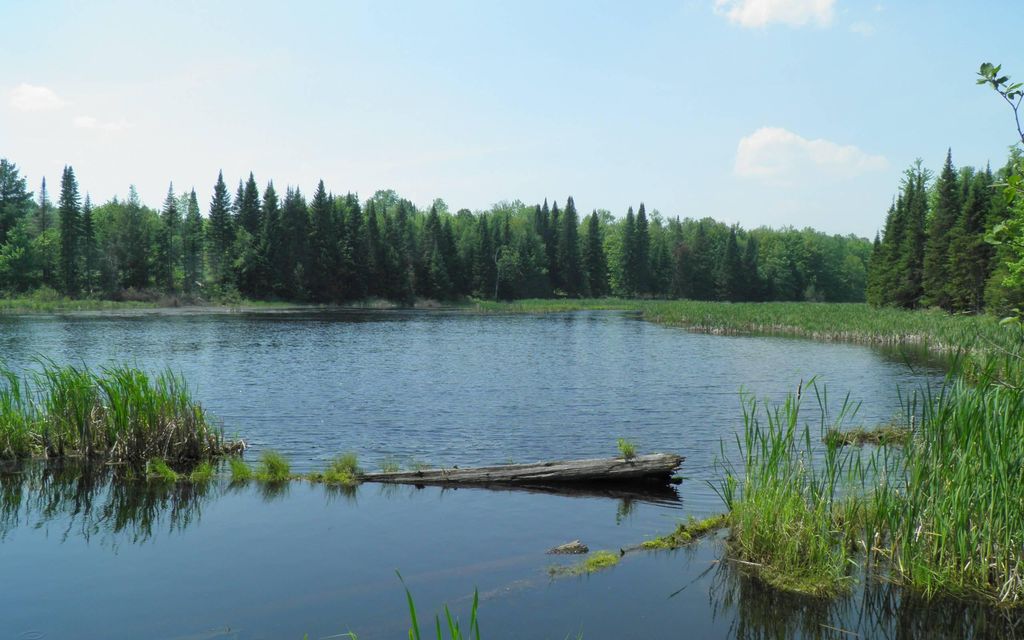 135 acres, Churubusco, NY, Property ID 2293678 Land and Farm