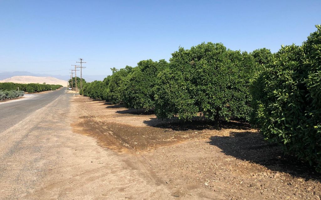 32 acres, Terra Bella, CA, Property ID 9563833 Land and Farm