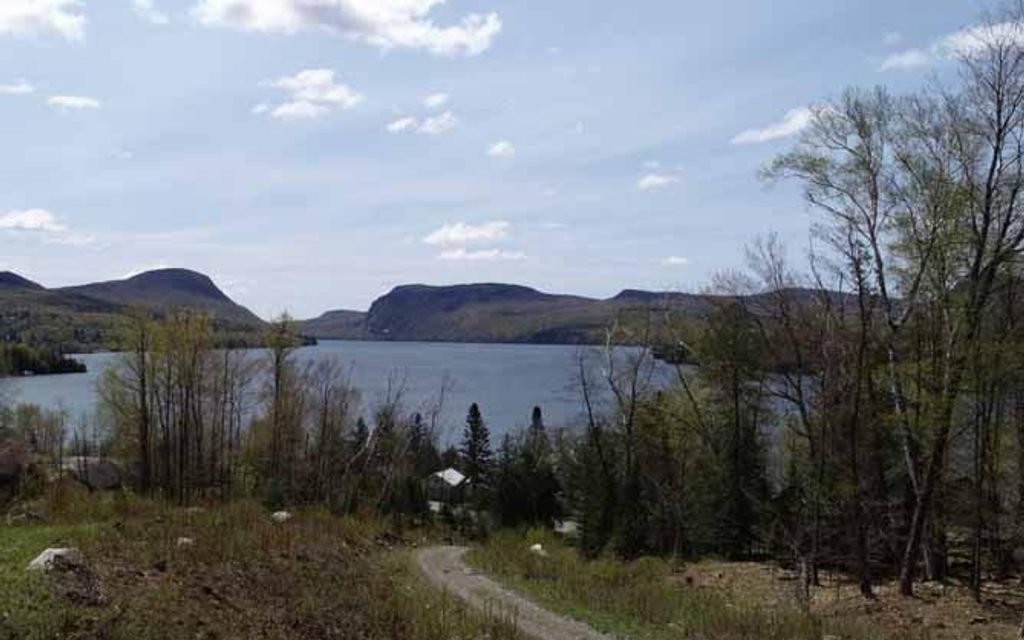 100 Acres Westmore Vt Property Id 9584190 Land And Farm