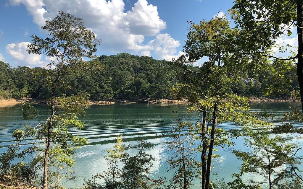 1 acre, Double Springs, AL, Property ID 9598893 Land and Farm