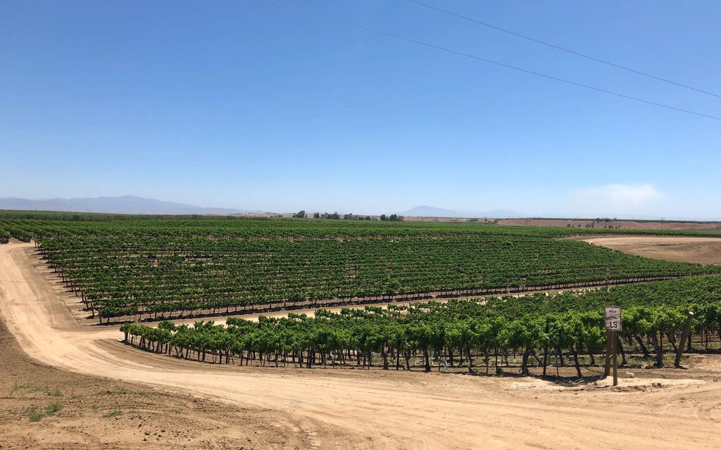 307.92 acres, McFarland, CA, Property ID 9602276 Land and Farm