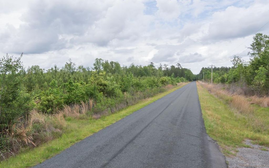 27 acres, Hemingway, SC, Property ID 9610192 Land and Farm