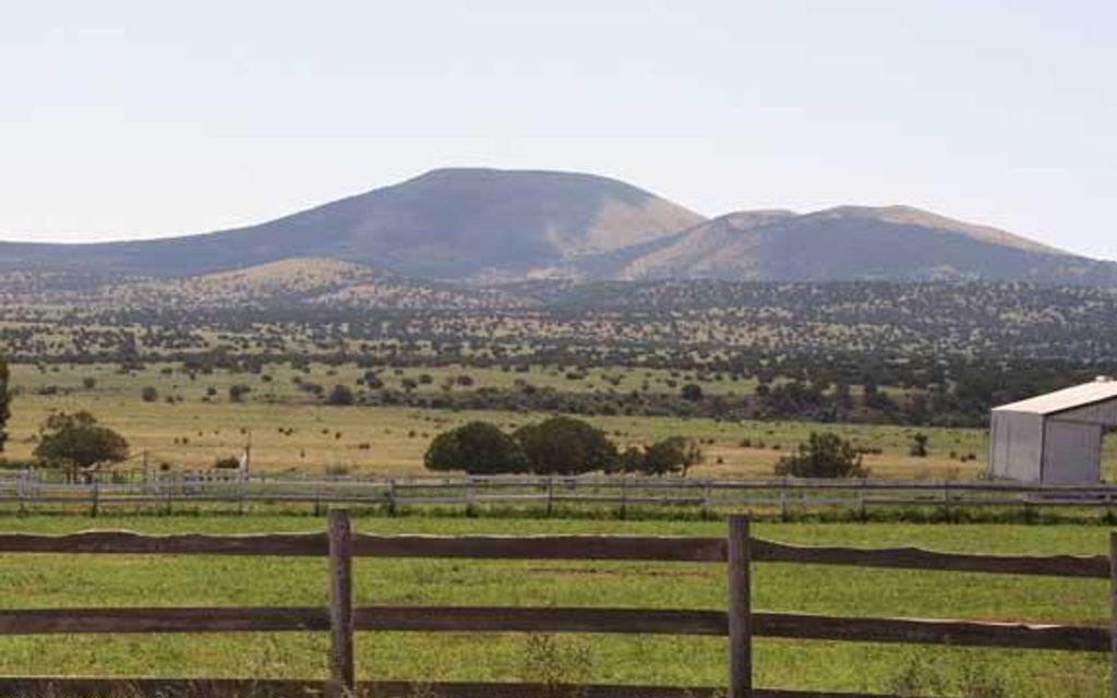 279.4 acres, Vernon, AZ, Property ID 9616134 Land and Farm