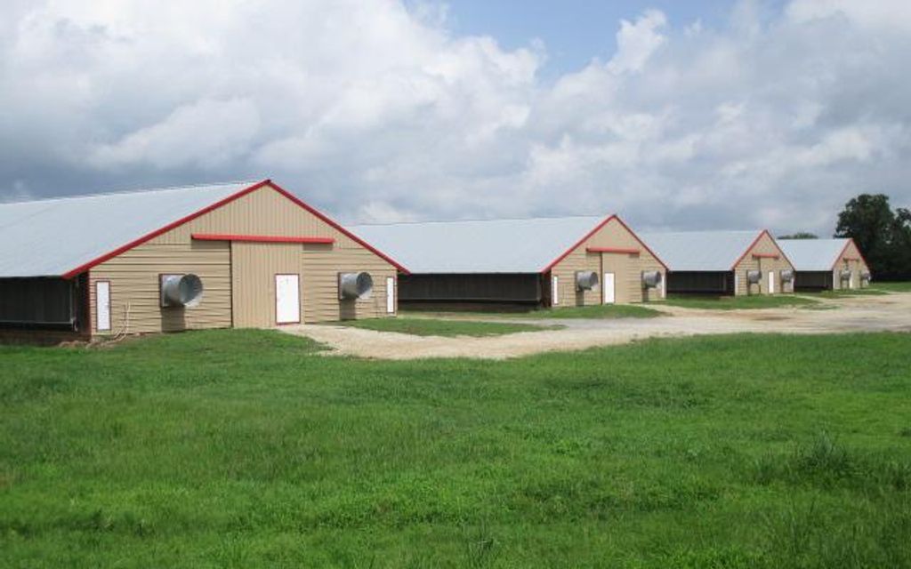 30 acres, Flynn, TX, Property ID 9624363 Land and Farm