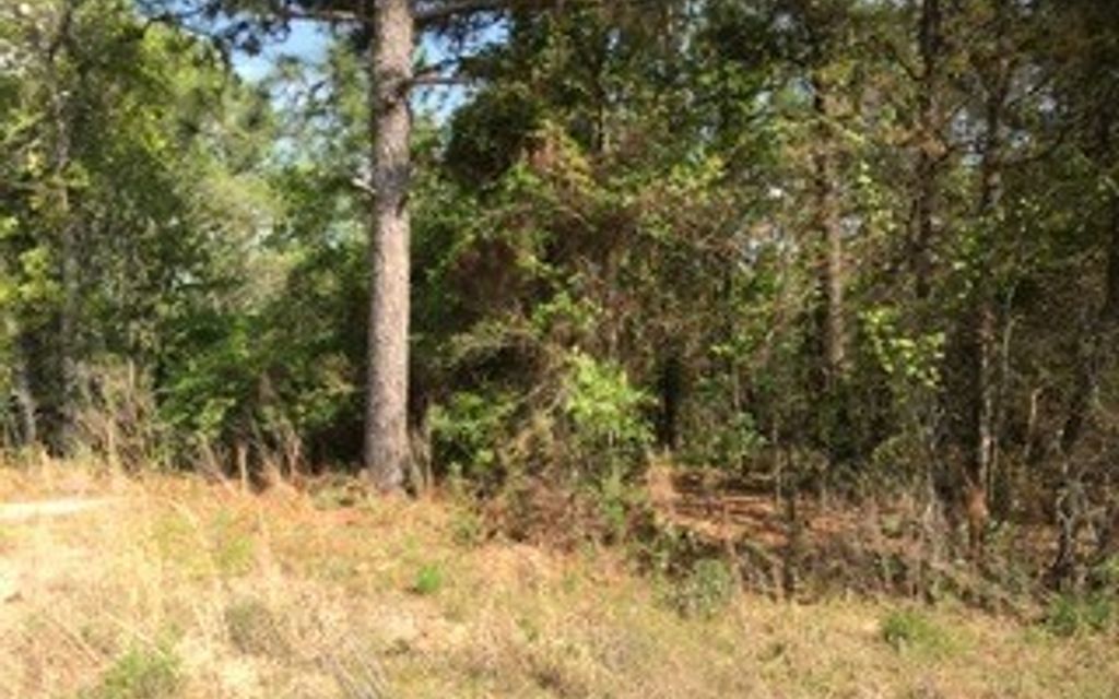 3.43 acres, Roberta, GA, Property ID 9641557 Land and Farm