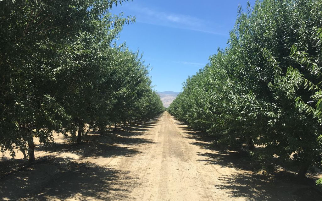 590.94 acres, Maricopa, CA, Property ID 9643586 Land and Farm