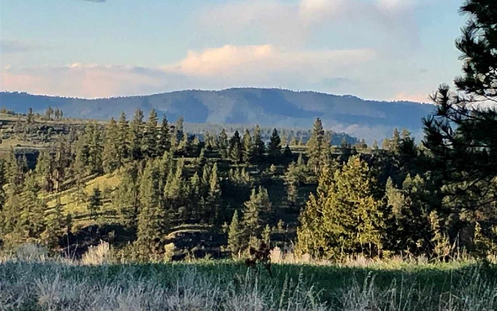 114.59 acres, Spokane, WA, Property ID 9657779 Land and Farm