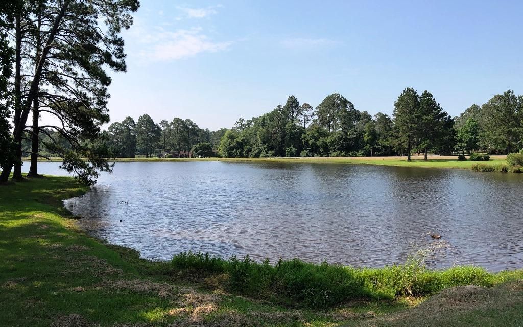 68 acres, Eastman, GA, Property ID 9616881 Land and Farm