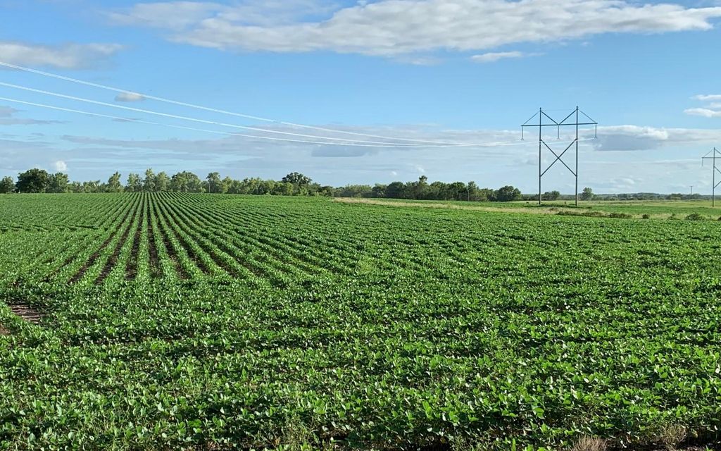 150 acres, Gridley, KS, Property ID 9675033 Land and Farm