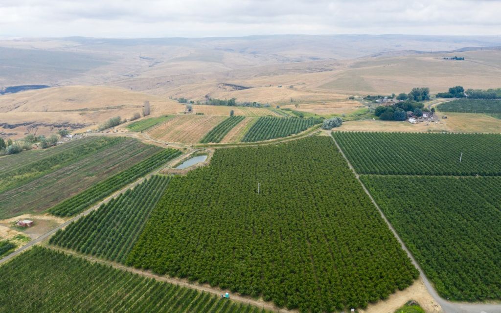 51.2 acres, Quincy, WA, Property ID 9682508 Land and Farm