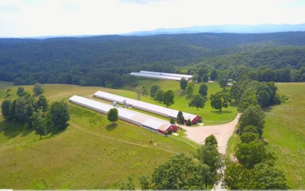 15 acres, Ellijay, GA, Property ID 9733444 Land and Farm
