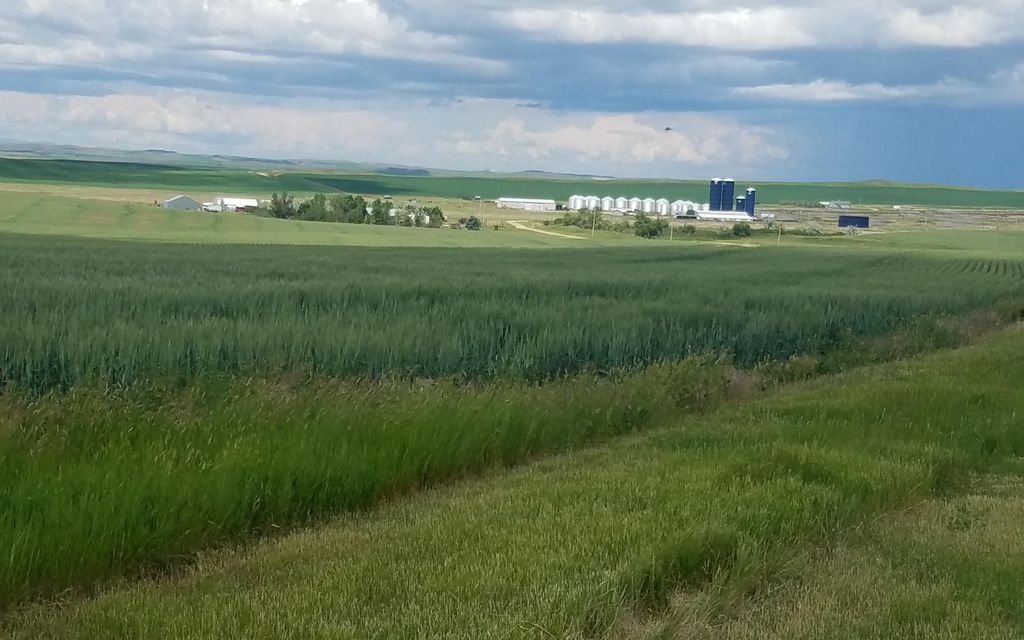 9200 acres, Roy, MT, Property ID 4789674 Land and Farm