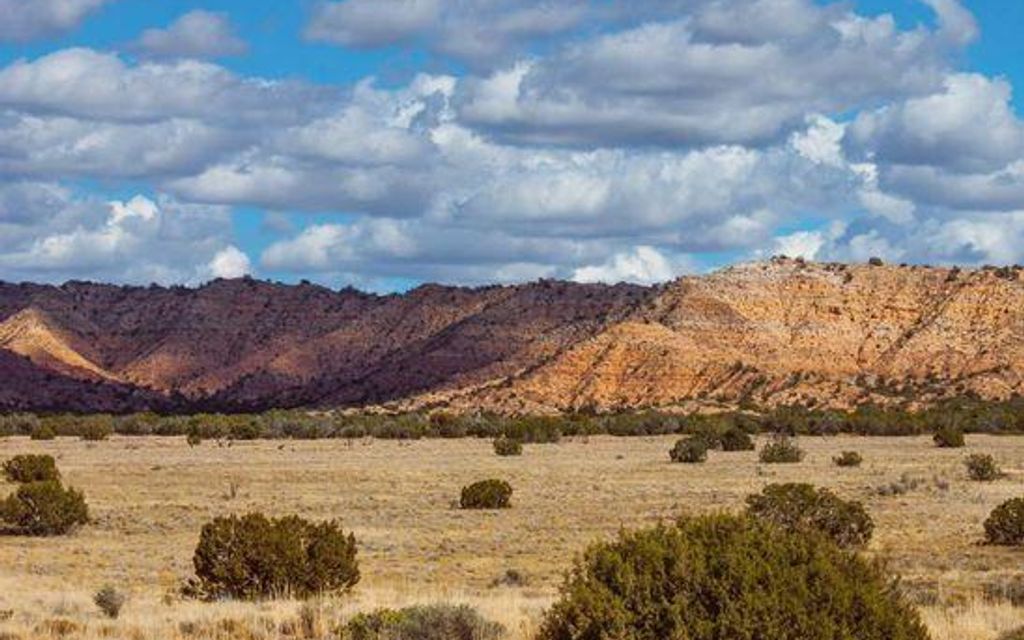 40 acres, Saint Johns, AZ, Property ID 9766913 Land and Farm